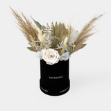 The Dawn Dried Hatbox Flowers - LK VERDANT