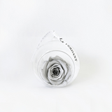 Exclusive Light Grey Forever Roses that last a year by LK VERDANT