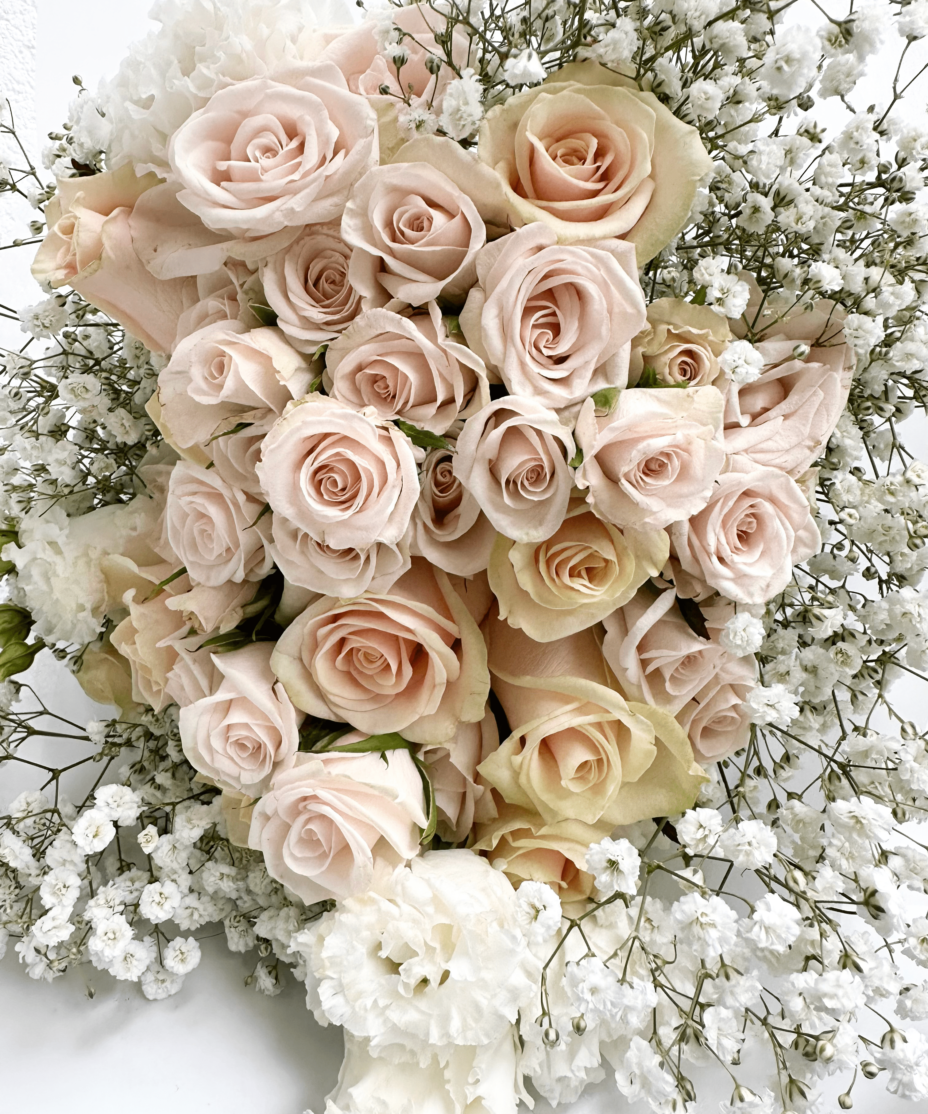 The Grace Bouquet  - Luxury Roses and Baby's Breath Bouquet Delivery
