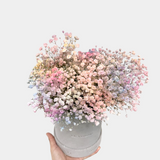 Baby's Breath Hatbox Flowers - LK VERDANT
