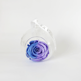 The Always Ombre III Forever Rose - Shop for Flowers and Forever Roses - LK VERDANT